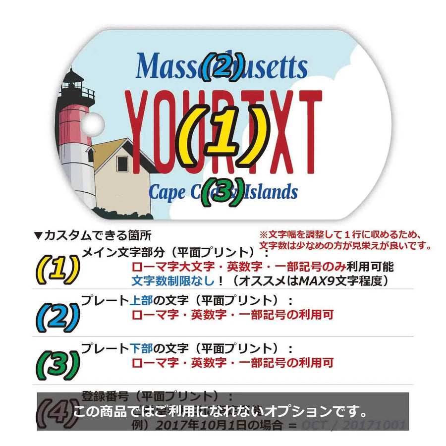 【犬用迷子札・ドッグタグ】マサチューセッツ・ケープコッド/オリジナルアメリカナンバープレート型 名入れキーホルダー