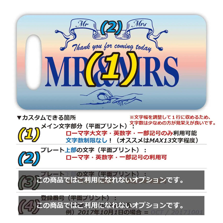 【ラゲッジタグ】サンライズ/オリジナルアメリカナンバープレート型・おしゃれ ・紛失防止タグ