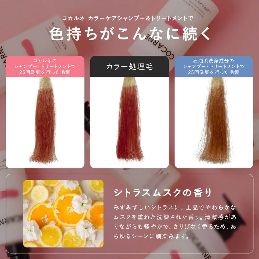 コカルネ カラー・ダメージケアトリートメント 390g｜COCARNE